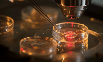 Scientists Found The Hidden Factor Behind the Global Infertility Crisis, And It's Terrifying