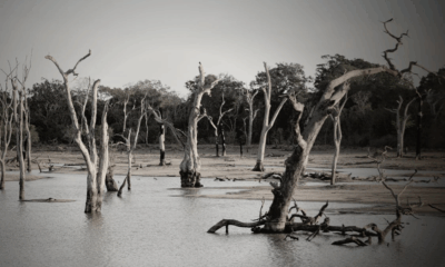 Girls Missing After Texas Flood Surges 26 Feet In 45 Minutes