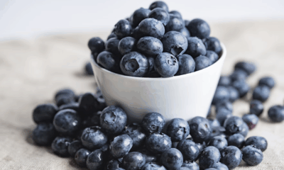 FDA Issues Urgent Blueberry Recall After Deadly Bacteria