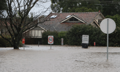 Heartbreaking Update: More Children Identified Among Texas Flood