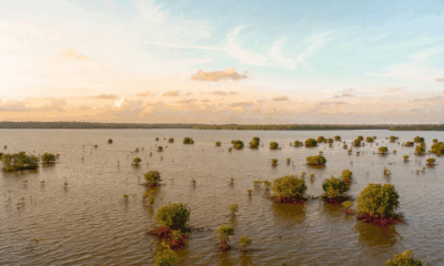 Disturbing Before And After Pictures Of Texas River