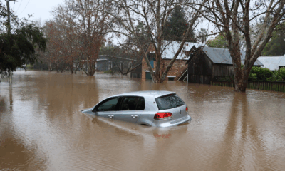 Quick-Thinking Couple Honk Their Way To Heroism