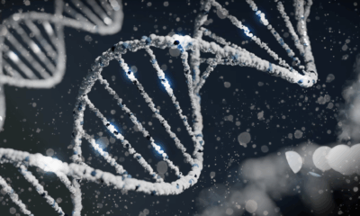 Scientists Discover ‘Mutant Gene’ That Lets This Tribe Swim