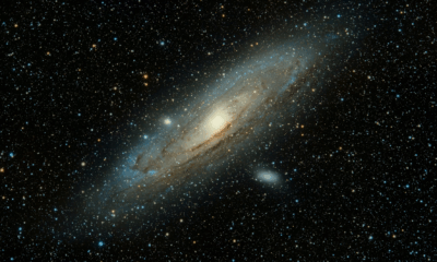 New World Has Just Been Discovered