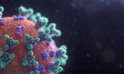 Scientists Warn: Most Infectious Covid Strain