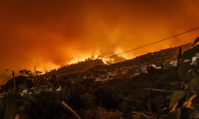 Wildfire Grows Into Megafire In Northern Arizona