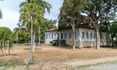 They Called Him Crazy For Adopting 9 Babies — But What Happened 46 Years Later Left The World in Tears