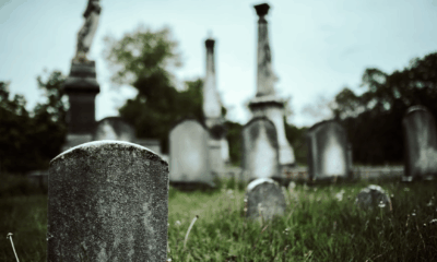 After My Parents Died, My Aunt Stole Their Money And Abandoned Me