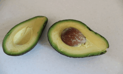 The Green Gold: How Avocados Heal, Nourish, And Rebuild The Body