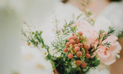 She Was Just Serving at a Wedding—Until She Saw the Groom’s Face and Her World Collapsed