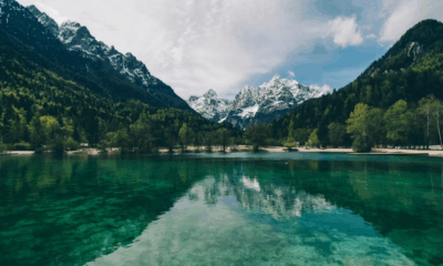 Woman Walking Her Dog Finds Dinosaur-Like Creature In Lake