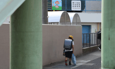 My Son Shared His Lunch With A Stray Dog Every Day