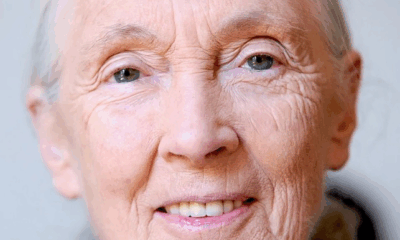Leonardo Dicaprio Reveals His Last Words To Jane Goodall