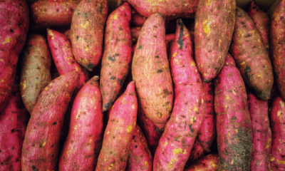 7 Shocking Health Benefits Of Eating Sweet Potatoes Every Day — According To Science