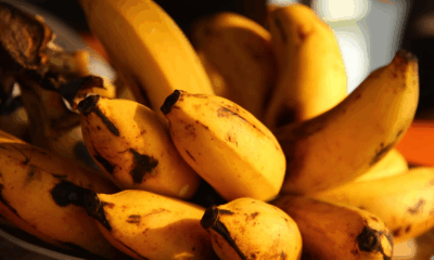 She Started Eating One Banana A Day — What Happened Inside Her Body Left Scientists Speechless