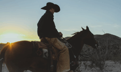 "I’m Too Fat, Sir, But I Know How To Cook" — What This Woman Did Next Brought A Hardened Cowboy To His Knees