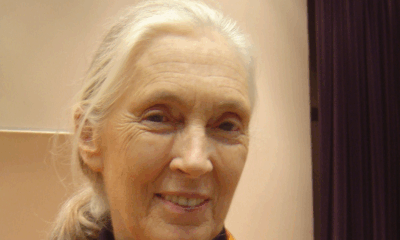 Why Jane Goodall Never Traveled Without Her Beloved