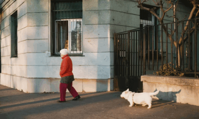 My Family Argued Over Grandma’s Will