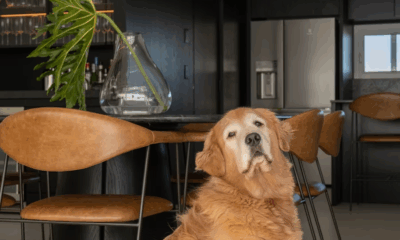 I Returned A Diamond Ring I Found At The Supermarket