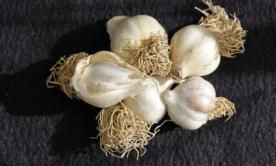 I Insisted On Checking My MIL’s Bags Before She Left — What I Found Inside Made My Blood Boil