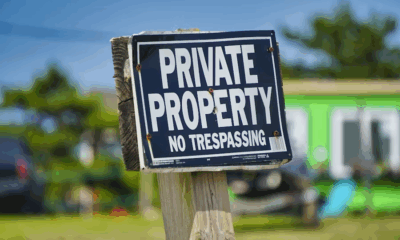 They Called Her A Liar For 10 Years — Until Three Black Cars Arrived And Exposed The Truth