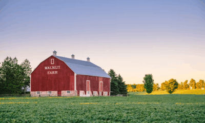 She Lost Her Farm In A Fire And Her Daughter Slammed The Door—What Her Adopted Son Did Next Shocked The Whole Neighborhood
