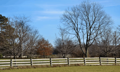 My Daughter Told Me To Sleep In The Paddock — Until The Truth In My Suitcase Turned Her Whole World Upside Down