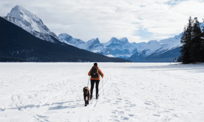 Her Cast Was Covered In Ice… And What She Was Pulling Behind Her Made Me Slam The Brakes