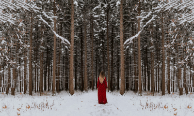 He Warned His Wife Not To Wear Red — What Happened Next Dragged Their Family Into A Secret War No One Was Supposed To Survive