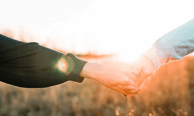 My Husband Hired A Model To Pose As His Wife At His Reunion