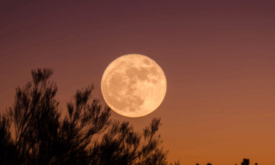 The Beaver Moon 2025: When And How To Watch November’s Final Supermoon (You Don't Want To Miss It)