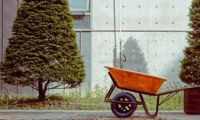 She Walked Miles Pushing A Wheelbarrow With Two Newborns Inside — What Doctors Found Next Left The Entire Hospital In Tears