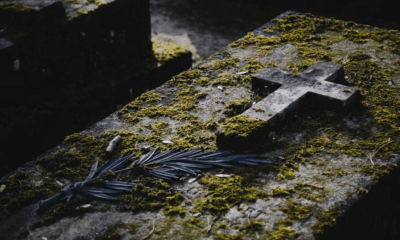 A Hidden Camera Revealed Who Was Stealing The Roses From His Wife’s Grave — But Nothing Could Have Prepared Him For Why