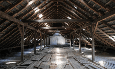 I Heard Strange Noises In My Attic—The Hidden Cameras Revealed A Nightmare