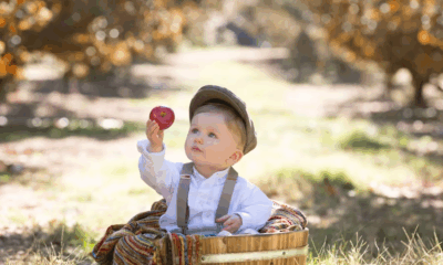 My Brother Abandoned His Newborn In My Yard 27 Years Ago—Now He’s Back And Blaming Me