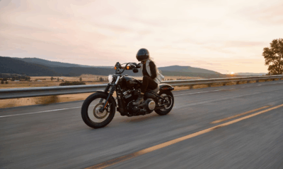 Biker Stops On A Freezing Road To Save A Dog No One Else Would Touch
