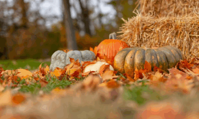 My Son Uninvited Me From Thanksgiving. 24 Hours Later, I Took Back His House