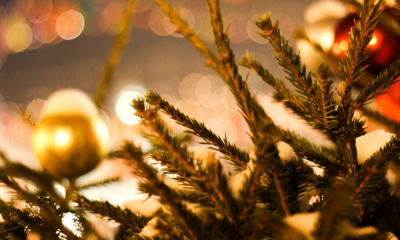 My Two Best Friends And I Planned A Christmas Reunion After 30 Years—But A Woman Our Age Walked In Instead