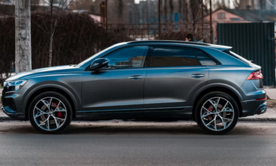 I Took An Elderly Homeless Woman Home On Christmas Eve—Three Days Later, A Luxury SUV Pulled Up