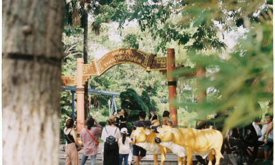 A Little Girl Was Playing With An Otter—Then The Zookeeper Told Her Parents To Run To The Hospital