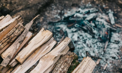 I Stopped For Two Girls Carrying Firewood, Then I Saw What Was On One Of Their Fingers