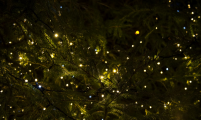 My Family Uninvited Me From Christmas—So I Quietly Canceled The Million-Dollar Deal They Needed