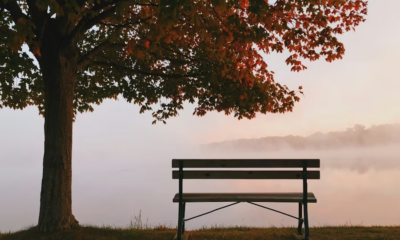 Single Dad Of 3 Leaves Food For The Homeless — A Month Later, A Lawyer Knocks On His Door