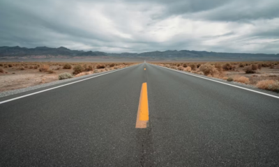 Biker Stops For A "Moving Sack" On The Highway—What Was Inside Changed His Life Forever