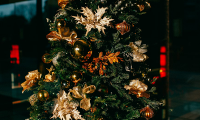 My Son Told Me Not To Come For Christmas—When I Showed Up Anyway, I Found Him Injured And Trapped In His Own Home