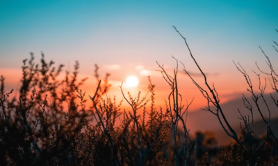 My Wife Disappeared When Our Baby Was 3 Months Old—Five Years Later, We Saw Her On TV