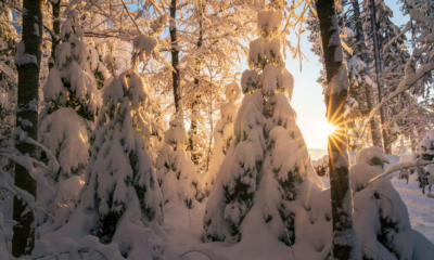 My MIL Handed My Daughter A Birthday Present, Let Her Smile… Then Took It Back