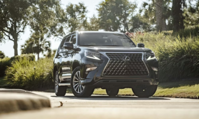 Grandparents Abandoned Her In The Rain. The Judge’s 7-Word Response Had The Courtroom Cheering