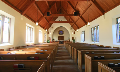 After Losing Our Long-Awaited Baby, I Begged The Universe For A Sign—Then I Heard A Cry Behind A Dumpster