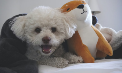 My Husband’s Best Friend Came To Dinner — After He Left, Our Daughter Went Silent